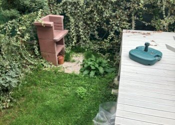 IMG_9551 (Small).JPG - Casa semi indipendente Massa - foto 21