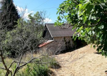 WhatsApp Image 2021-07-02 at 12.02.43 (3).jpeg - Terratetto - Terracielo Località Ghiggeri, Varese Ligure - foto 4