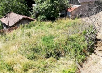 WhatsApp Image 2021-07-02 at 12.02.43 (4).jpeg - Terratetto - Terracielo Località Ghiggeri, Varese Ligure - foto 5