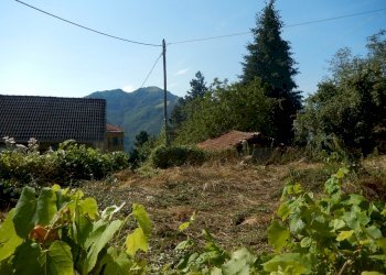 DSCN4402.JPG - Terratetto - Terracielo Località Ghiggeri, Varese Ligure - foto 11