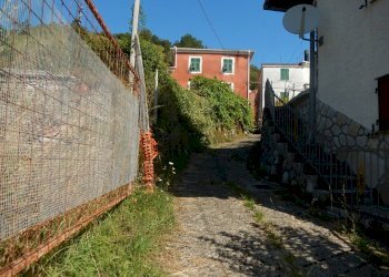 DSCN4424.JPG - Terratetto - Terracielo Località Ghiggeri, Varese Ligure - foto 19