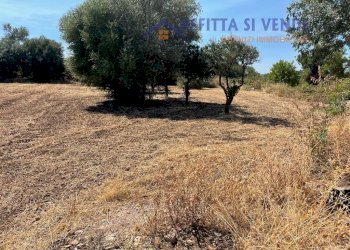 esterno - Terreno agricolo Traversa Maeggio di Sopra, Siracusa - foto 13