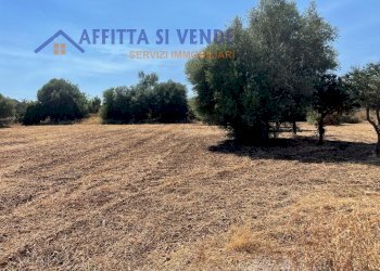 esterno - Terreno agricolo Traversa Maeggio di Sopra, Siracusa - foto 14