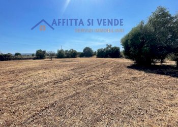 esterno - Terreno agricolo Traversa Maeggio di Sopra, Siracusa - foto 15