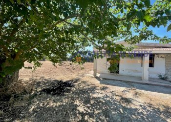 esterno - Terreno agricolo Traversa Maeggio di Sopra, Siracusa - foto 25