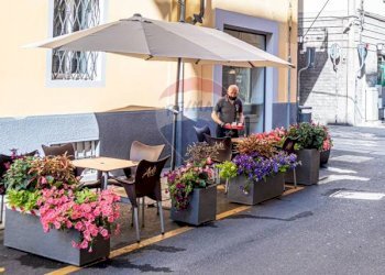 Bar - Tabacchi - Ricevitoria Borgo Rovereto, Alessandria, Alessandria - foto 7