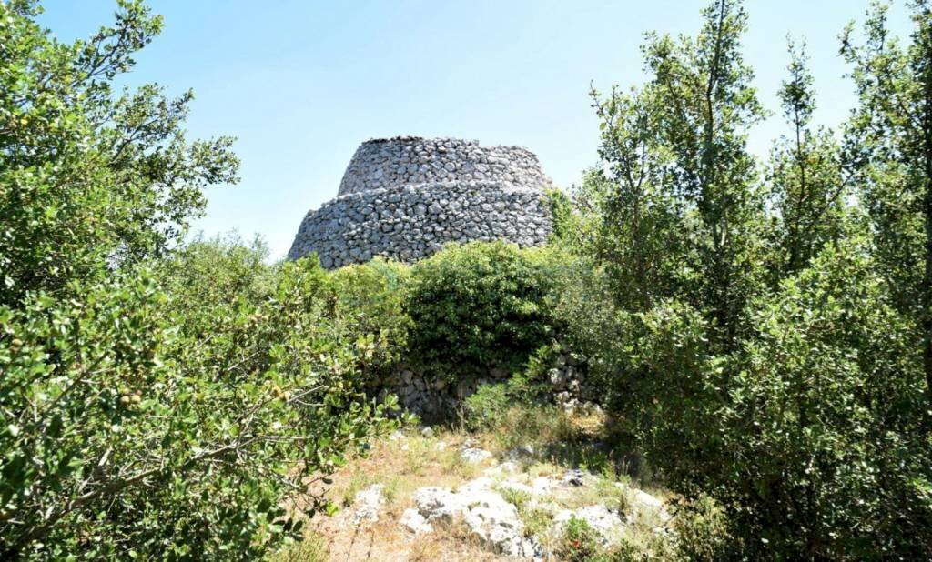 Vista Pajara - Agricultural land Morciano di Leuca - photo 1