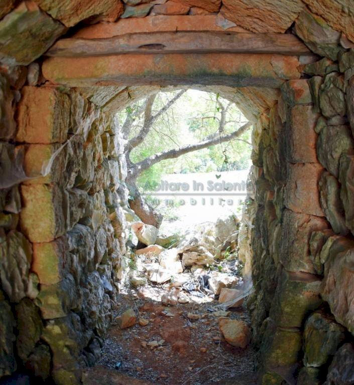 Entrata Pajara - Agricultural land Morciano di Leuca - photo 2