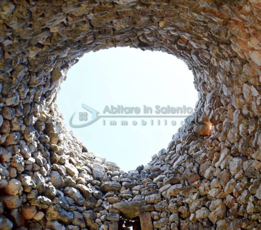 Interno Pajara - Agricultural land Morciano di Leuca - photo 3