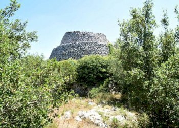 Vista Pajara - Terreno agricolo Morciano di Leuca - foto 1