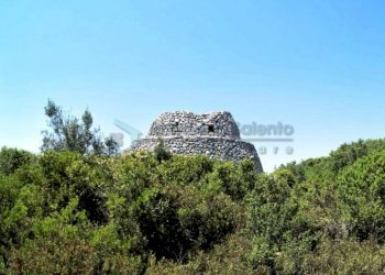 Vista Pajara - Terreno agricolo Morciano di Leuca - foto 5