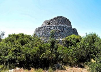 Vista Pajara - Terreno agricolo Morciano di Leuca - foto 6