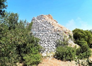 Vista Pajara - Terreno agricolo Morciano di Leuca - foto 8