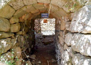 Entrata Pajara - Terreno agricolo Morciano di Leuca - foto 9