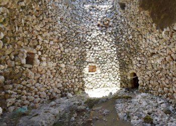 Interno Pajara - Terreno agricolo Morciano di Leuca - foto 10