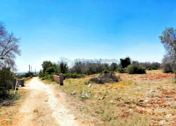 Strada di accesso - Terreno agricolo Morciano di Leuca - foto 12