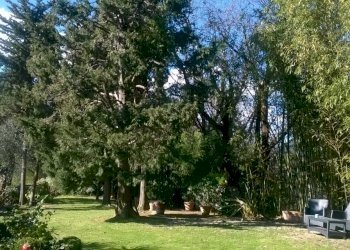 ca9.jpg - Villa Camaiore - foto 10