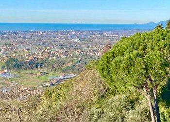 ca10.jpg - Villa Camaiore - foto 11