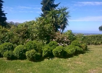 ca21.jpg - Villa Camaiore - foto 22