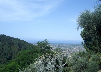 ca22.jpg - Villa Camaiore - foto 23