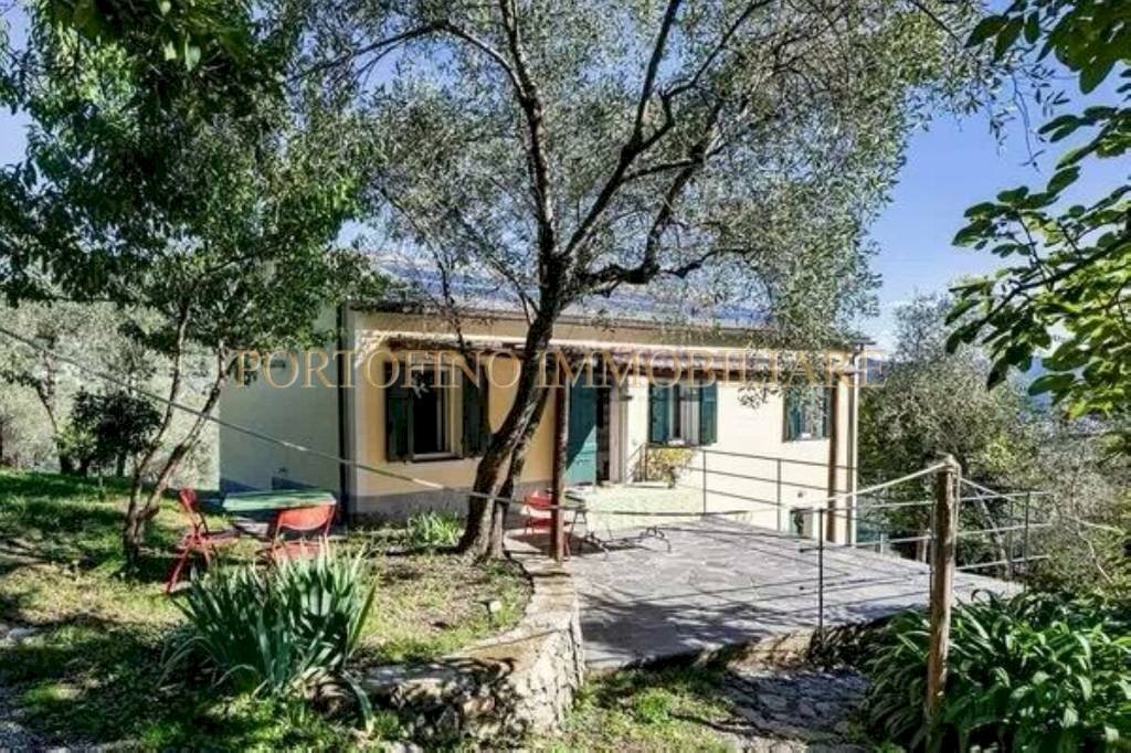 Giardino - Villa via Partigiano Simone Stefani, Santa Margherita Ligure - photo 2