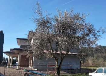dettagli - Casa indipendente Via Settevalli 484, Perugia - foto 15