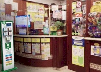 130619715-61a46e4c-1aba-4a20-aee1-b43e3768a1f5.jpg - Tabaccheria Piazza dei Servi, Lucca - foto 5