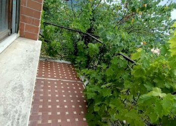 IMG-20210803-WA0110.jpg - Casa indipendente Aulla - foto 9