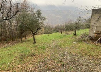 IMG_5434.JPG - Casa semi indipendente Gessopalena - foto 6