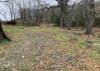 IMG_5433.JPG - Casa semi indipendente Gessopalena - foto 24