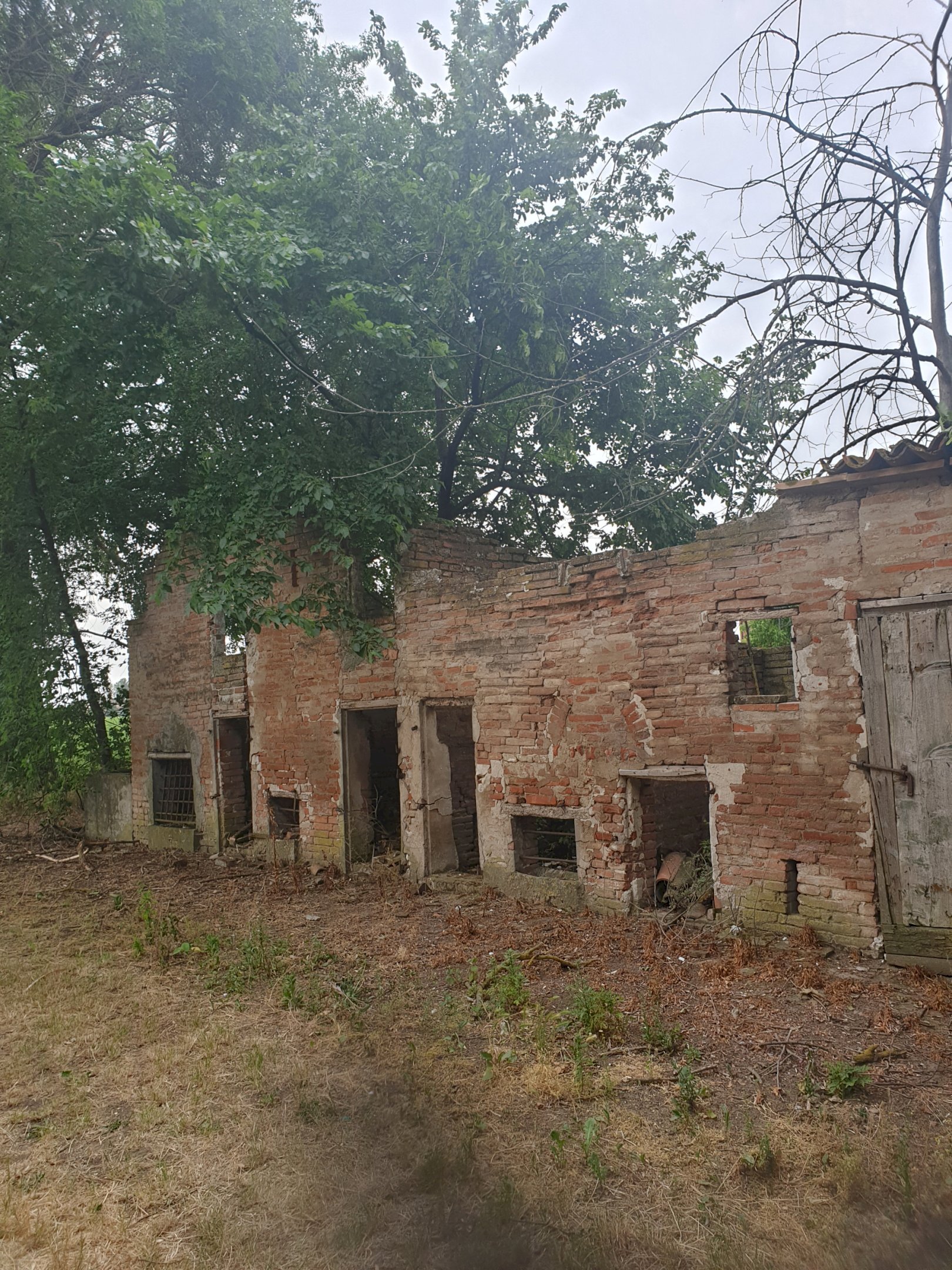 Appartamento San Prospero, Imola, San Prospero - foto 2