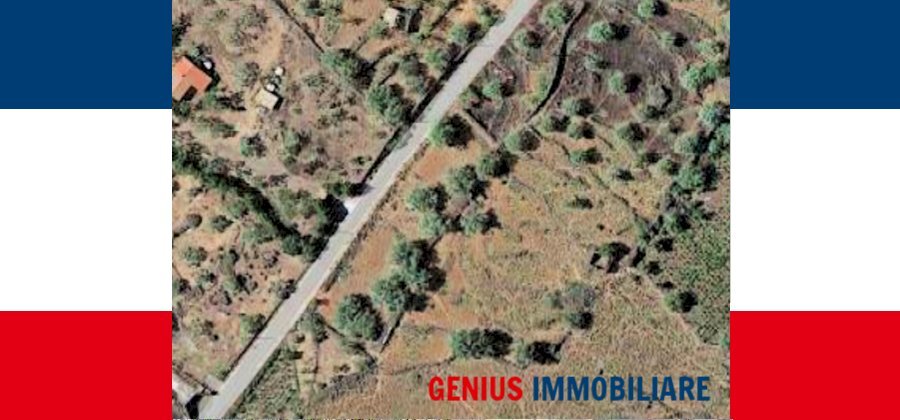 Agricultural land Biancavilla - photo 1