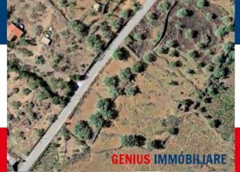 Terreno agricolo Biancavilla - foto 1