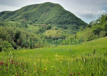 Terreno agricolo Monzuno - foto 1