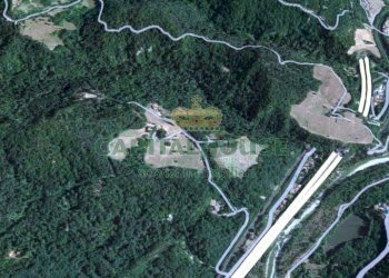 Terreno agricolo Monzuno - foto 3