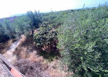 Villa contrada Margi Soprano, Partinico - foto 12