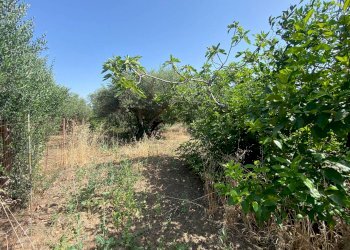 Villa contrada Margi Soprano, Partinico - foto 15