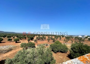 WhatsApp Image 2022-07-22 at 12.54.30 (2).jpeg - Casale Contrada Santatoce sn, Ostuni - foto 5