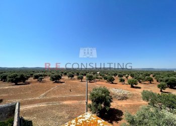 WhatsApp Image 2022-07-22 at 12.54.31.jpeg - Casale Contrada Santatoce sn, Ostuni - foto 6