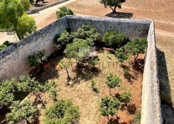 WhatsApp Image 2022-07-22 at 12.54.32 (1).jpeg - Casale Contrada Santatoce sn, Ostuni - foto 7