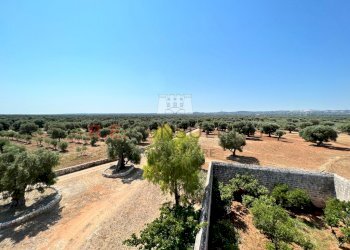 WhatsApp Image 2022-07-22 at 12.54.32 (4).jpeg - Casale Contrada Santatoce sn, Ostuni - foto 10