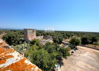 WhatsApp Image 2022-07-22 at 12.54.33 (2).jpeg - Casale Contrada Santatoce sn, Ostuni - foto 12