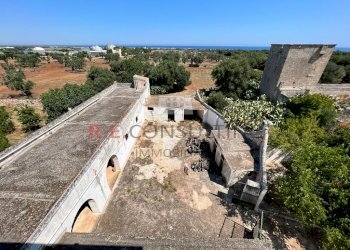 WhatsApp Image 2022-07-22 at 12.54.33 (3).jpeg - Casale Contrada Santatoce sn, Ostuni - foto 13