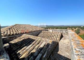 WhatsApp Image 2022-07-22 at 12.54.34.jpeg - Casale Contrada Santatoce sn, Ostuni - foto 16