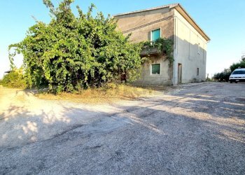 20220721_185647.jpg - Villa Pescara - foto 1