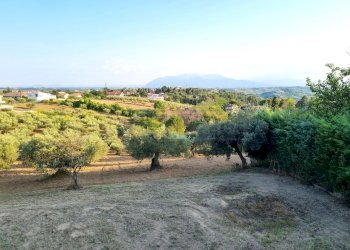 20220721_185814.jpg - Villa Pescara - foto 7