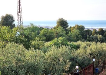 20220721_185919.jpg - Villa Pescara - foto 9