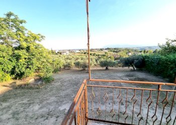 20220721_190016.jpg - Villa Pescara - foto 11