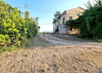 20220721_190832.jpg - Villa Pescara - foto 14