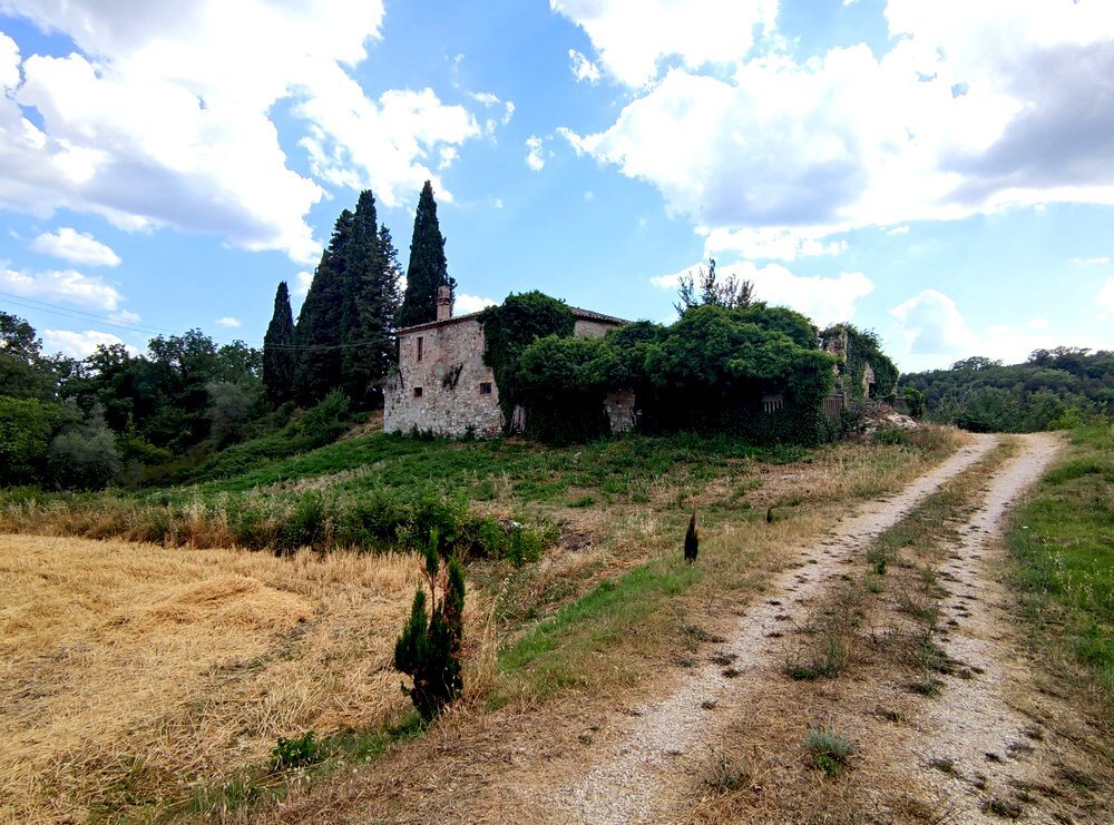 IMG_20220629_162913.jpg - Rustic Todi - photo 2